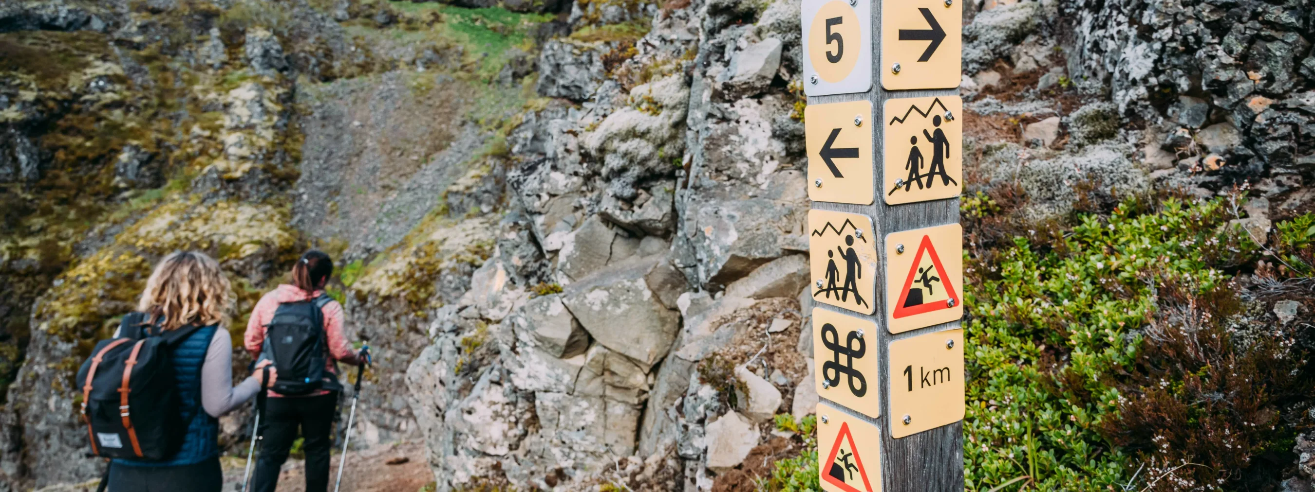 Katla team wanderung westisland thomas linkel